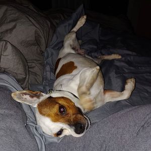 Meet your Posher, Sierra